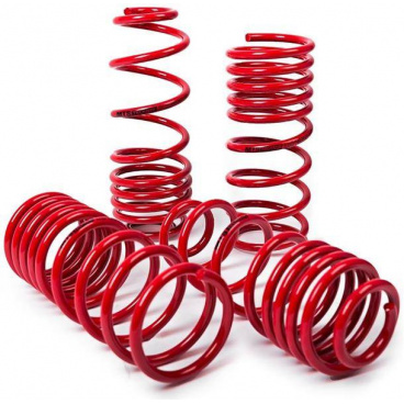 Športové znížené pružiny MTS Volkswagen Seat Audi A3 8L Seat Leon I (1M1) Toledo II (1M2) VW Bora VW Golf IV 40/40 mm