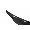 Zadné krídlo Mercedes-Benz CLS Lip Carbon