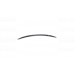 Zadné krídlo Mercedes-Benz A W177 Lip Carbon Look
