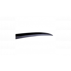 Zadné krídlo Tesla Model 3 Lip Gloss Black