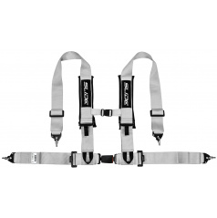 Športové pásy Slide V2 Strieborné 4P 3" E4