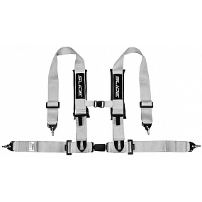 Športové pásy Slide V2 Strieborné 4P 3" E4