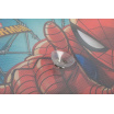 Clona sluneční na boční okno SPIDERMAN 2ks